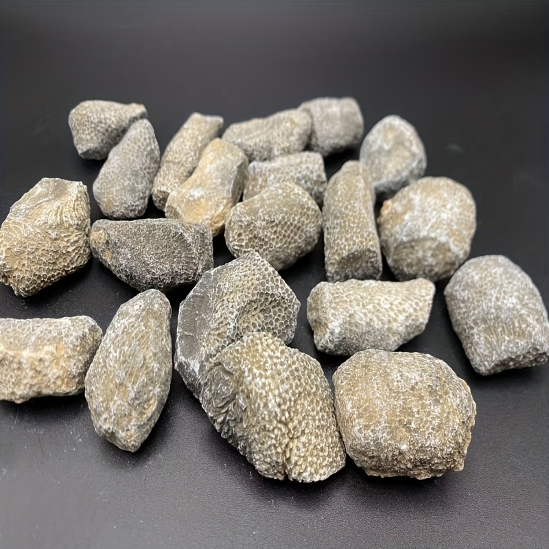 Aquarium Marine Rock - Roca de Coral Natural, Apta para
