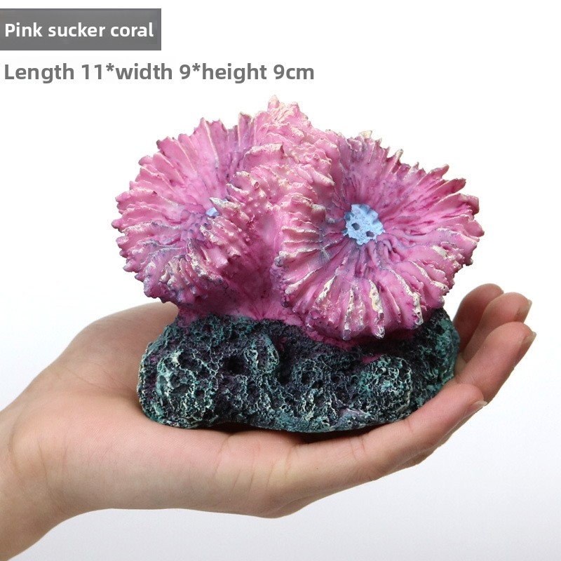 Decoraciones de Arrecife de Co - Aquarium Marine Rock reseña y precio