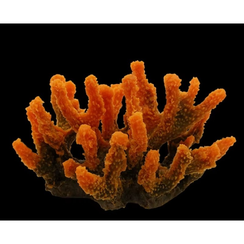 Decoración de Acuario de Arrec - Aquarium Marine Rock reseña y precio