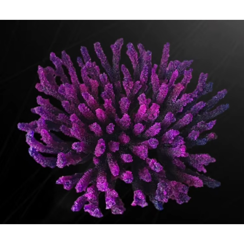 Decoración de Acuario de Arrec - Aquarium Marine Rock reseña y precio