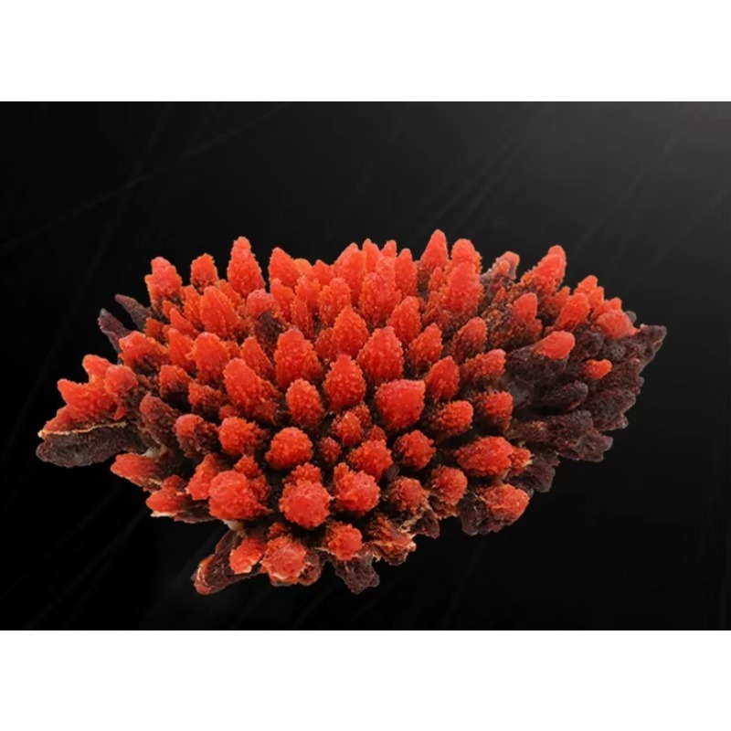 Decoración de Acuario de Arrec - Aquarium Marine Rock reseña y precio