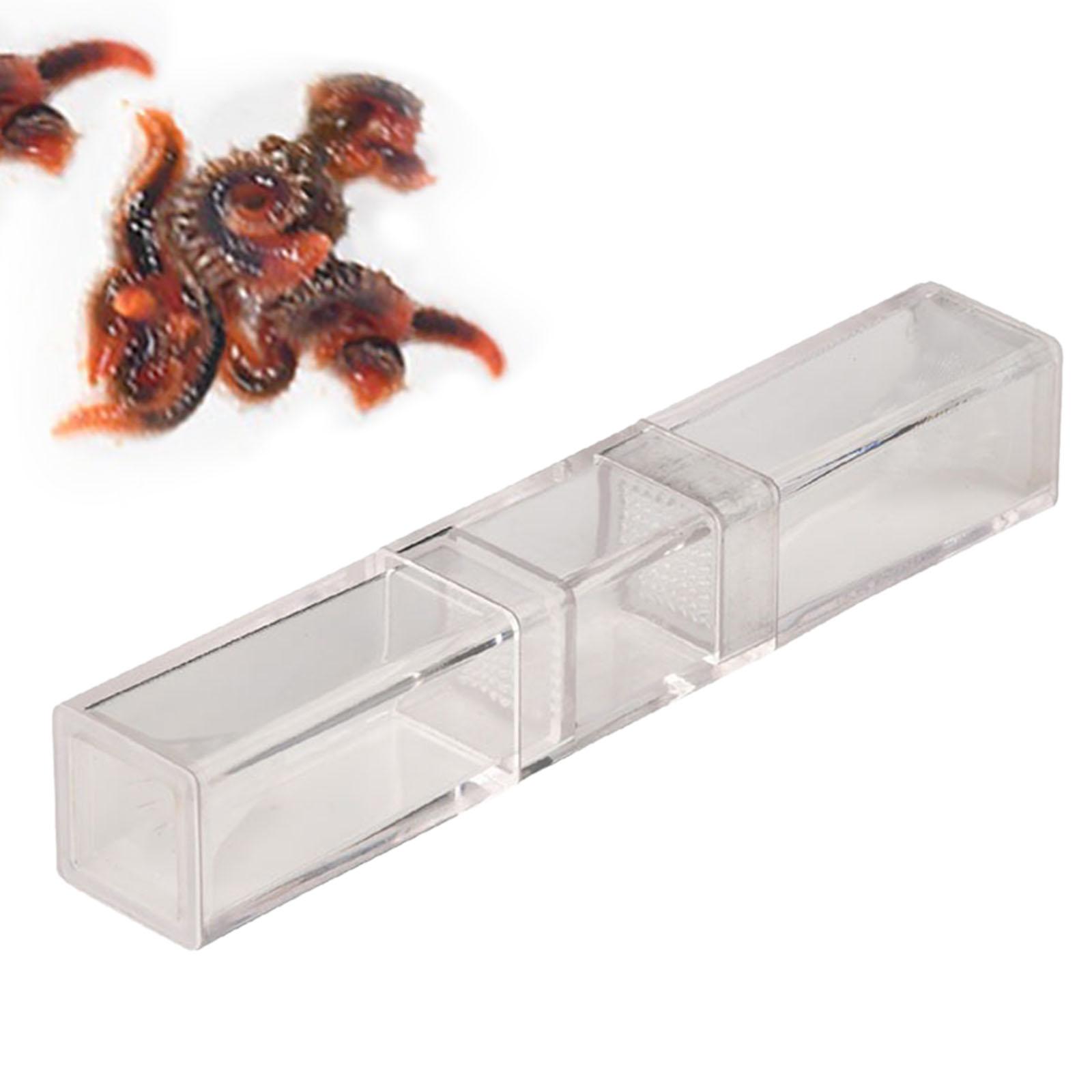 Acuario Planaria Catcher para  - Marine Aquarium Worms reseña y precio
