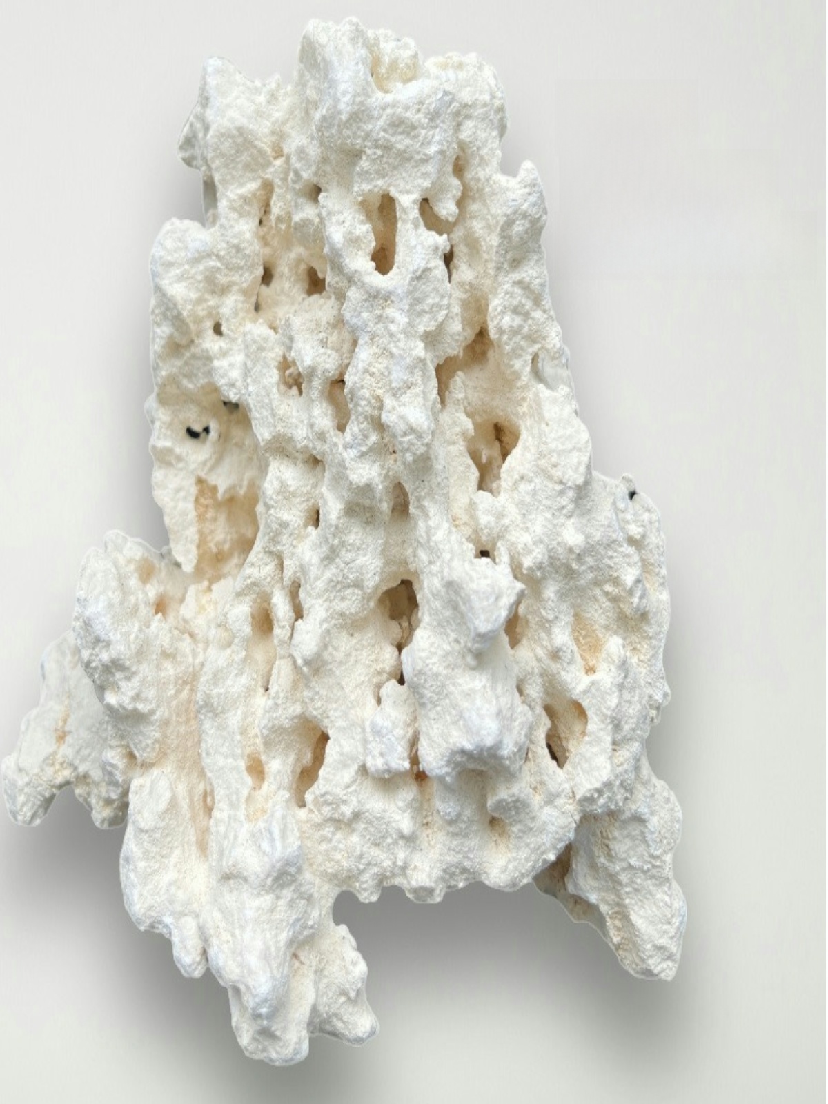 Piedra de Coral Natural Seca K - Aquarium Marine Rock reseña y precio
