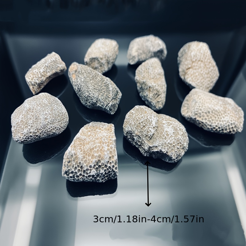 Roca de Coral Natural, Apta pa - Aquarium Marine Rock reseña y precio
